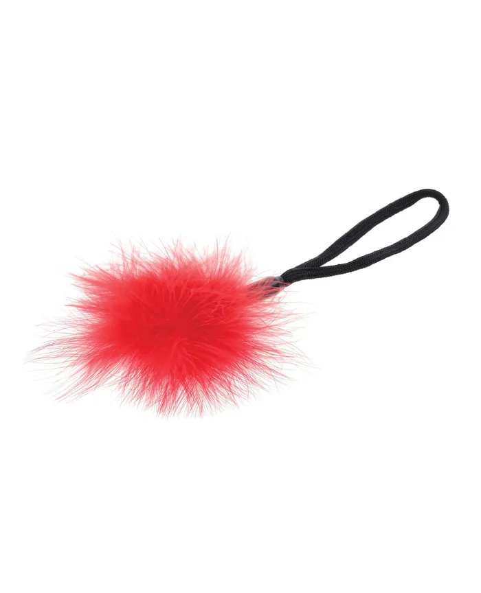 Sportsheets International Sex Mischief Exs Ohs Kiss Kit RedBlack Anal