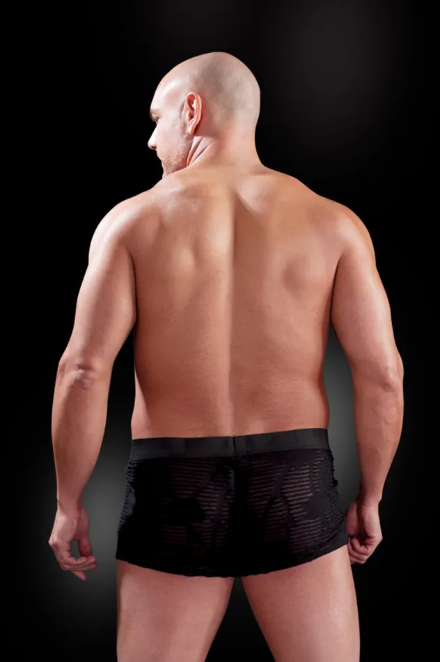 Pipedream Products Couples Fetish Fantasy Male See Thru Boxer 2xl3xl