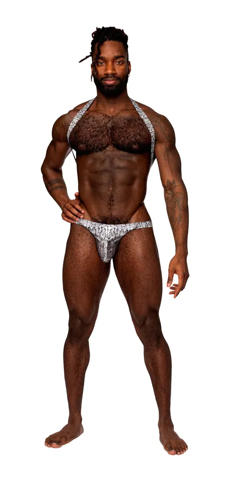Anal Male Power Lingerie Snaked Harness Thong SilverBlack SM from Male Power Lingerie Anal Male Power Lingerie Snaked Harness Thong SilverBlack SM from Male Power Lingerie