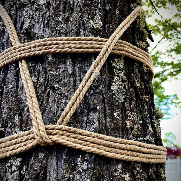 Rope Bondage Fundamentals 1 with Mx Knotty Ashland eventcalendarapp Couples