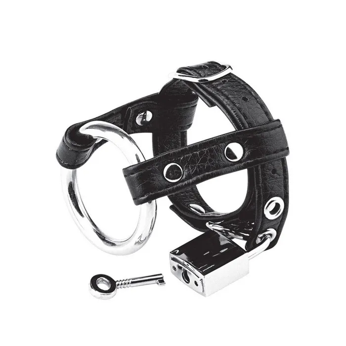Duo Cock Ball Ring with Lock Blue Line Men Male Sex Toys