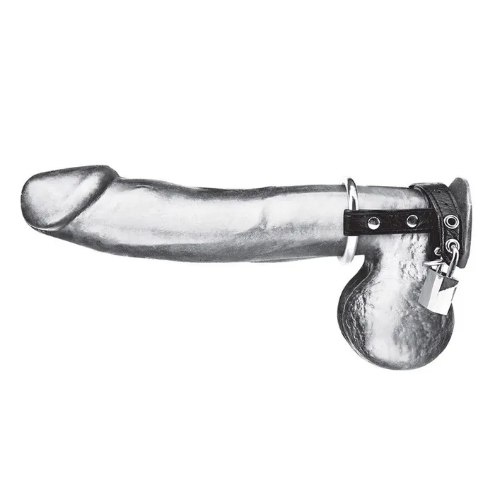 Duo Cock Ball Ring with Lock Blue Line Men Male Sex Toys