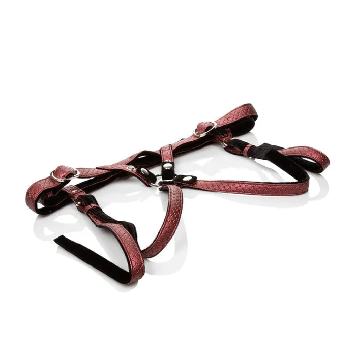 Her Royal Harness the Regal Duchess Red CalExotics Female Sex Toys Her Royal Harness the Regal Duchess Red CalExotics Female Sex Toys