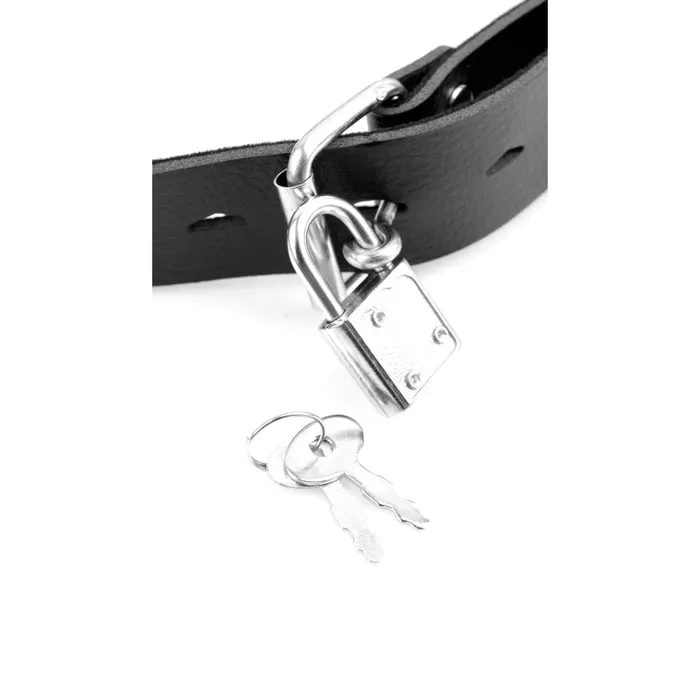 Pipedream Couples Fetish Fantasy Deluxe Ball Gag With Dong