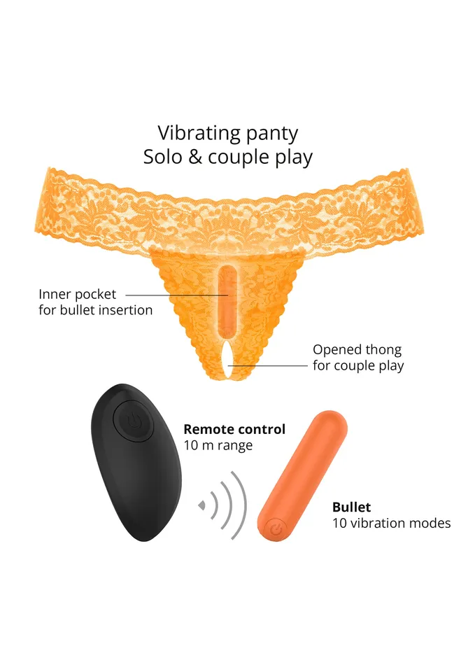 Female Sex Toys Secret Panty 2 Vibrating Panties Love to Love US