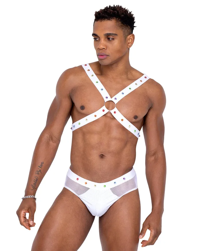 Roma Costume Inc Female Sex Toys 6336 Mens Pride Fishnet Vinyl Briefs